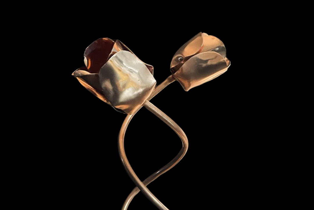 Twisting Tulips