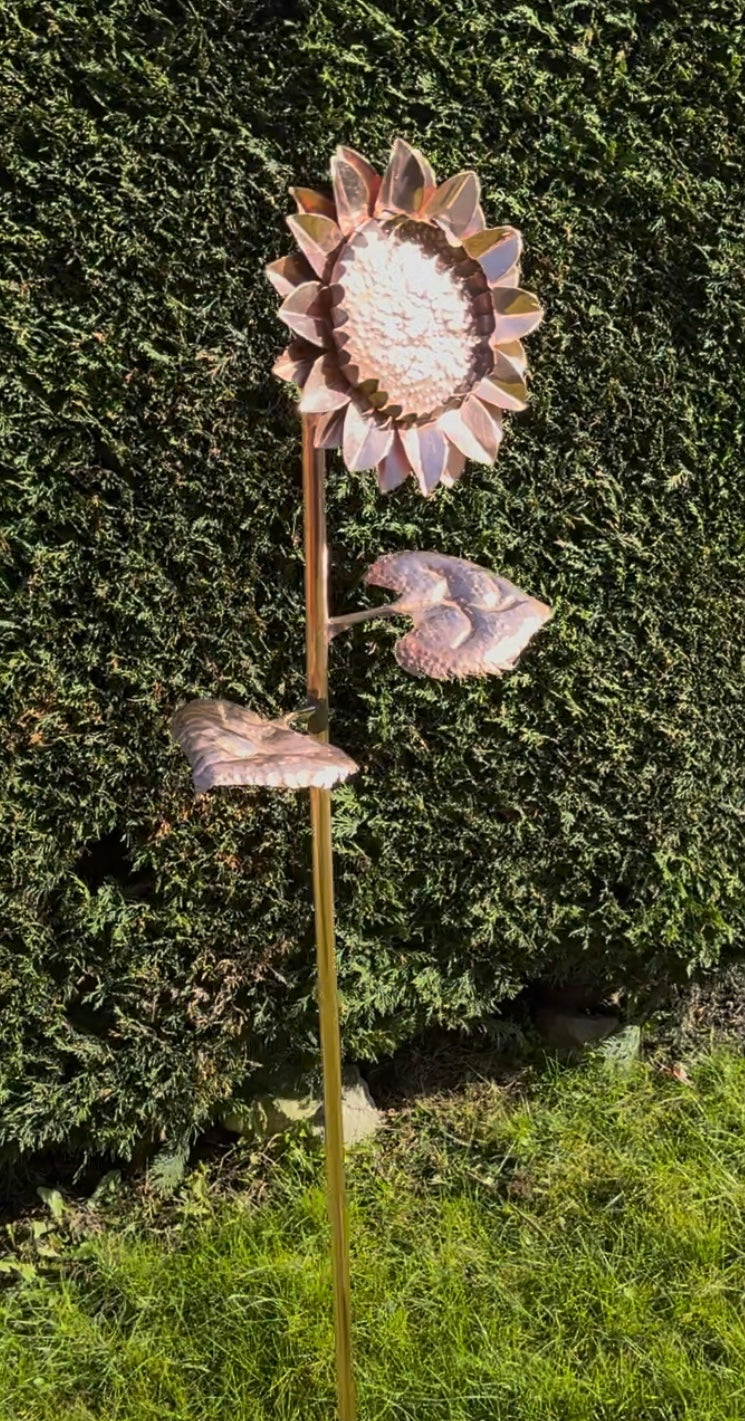 Large Sunflower