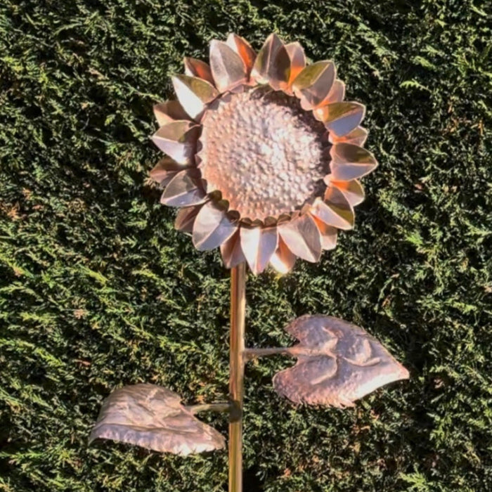 Large Sunflower