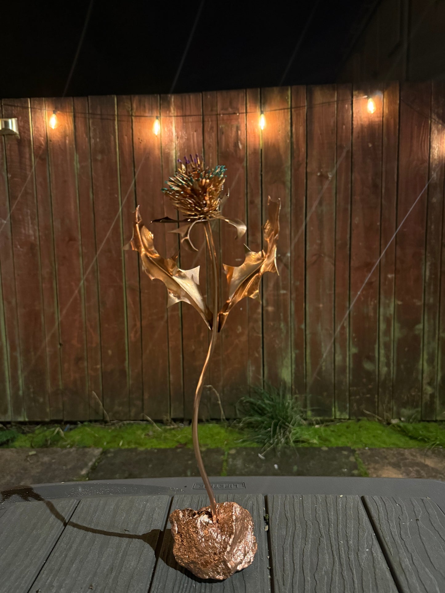 Scottish Thistles (The Flower of Scotland)