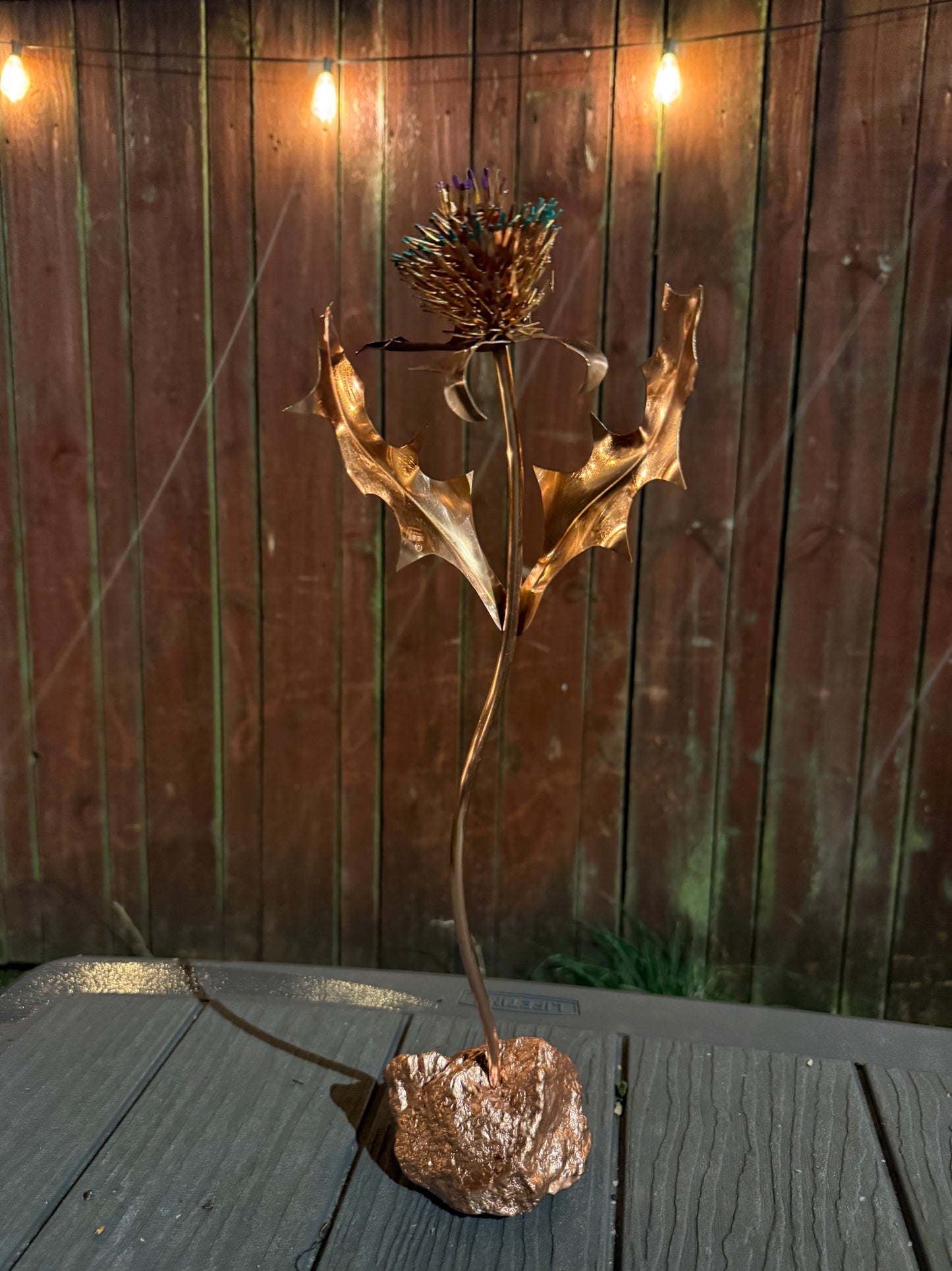 Scottish Thistles (The Flower of Scotland)